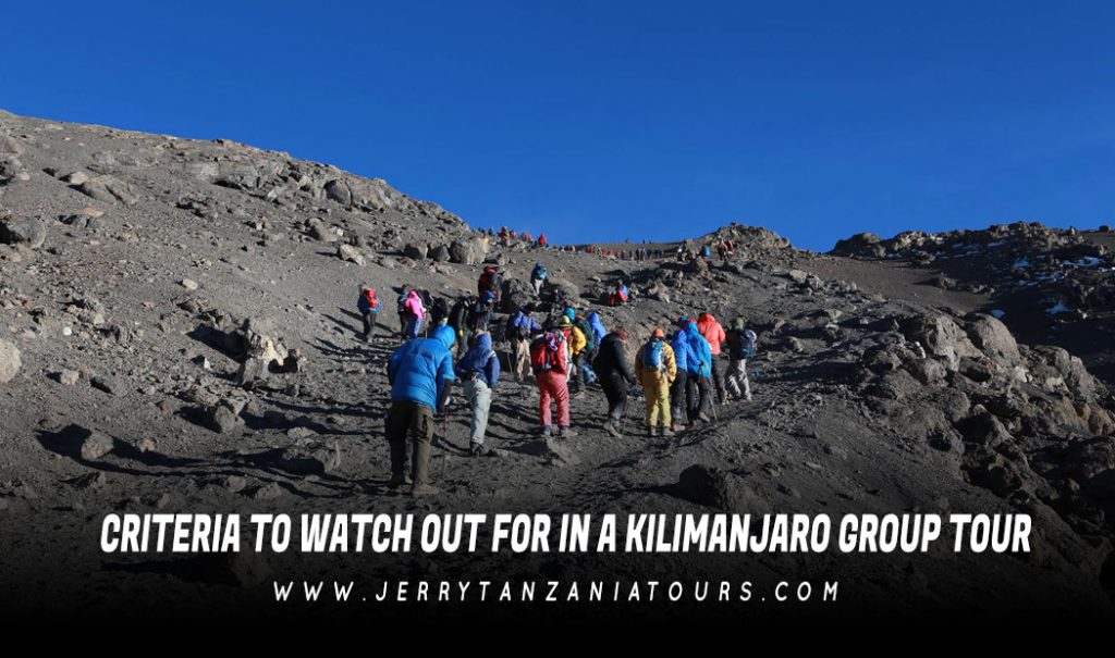 Kilimanjaro Group Tours