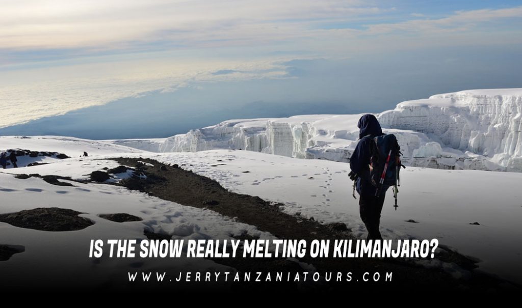 Snow Really Melting On Kilimanjaro