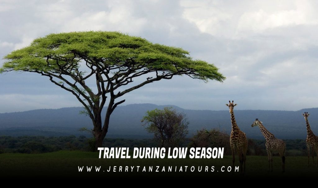 Travel during Low Season