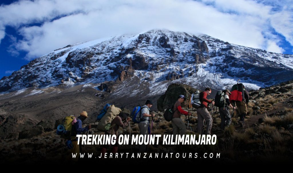 Trekking on Mount Kilimanjaro