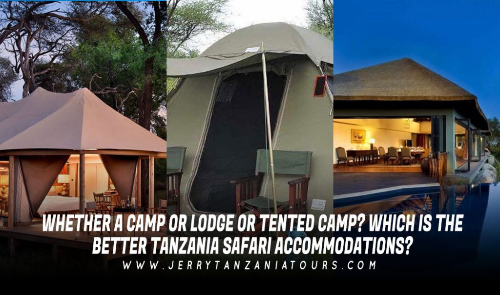 Mobile Safari Camps in Tanzania, Luxury Travel