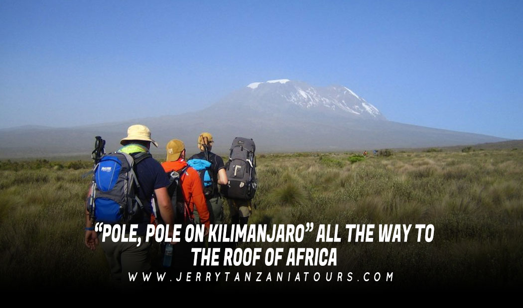 “POLE, POLE ON KILIMANJARO” ALL THE WAY TO THE ROOF OF AFRICA