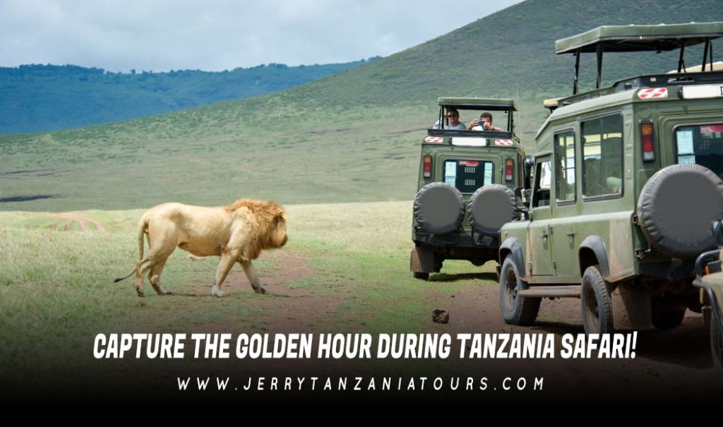 CAPTURE THE GOLDEN HOUR DURING TANZANIA SAFARI!