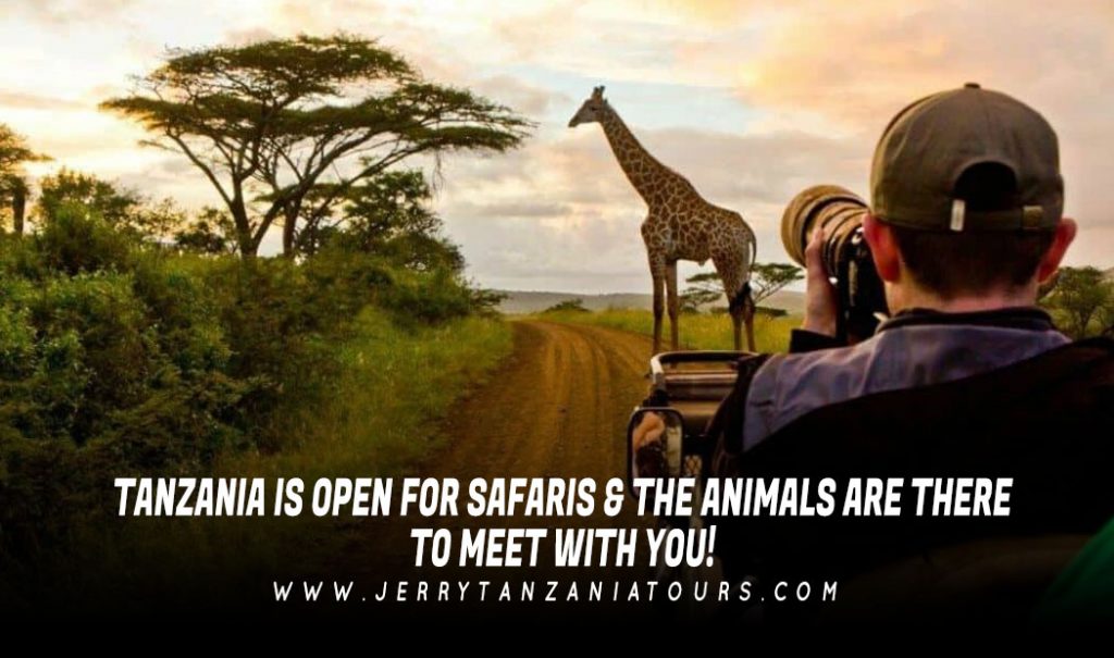 Tanzania Is Open For Safaris & The Animals Are There To Meet With You!