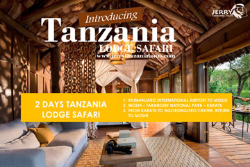 2 Days Tanzania lodge Safari pdf