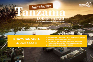 3 Days Tanzania lodge Safari pdf