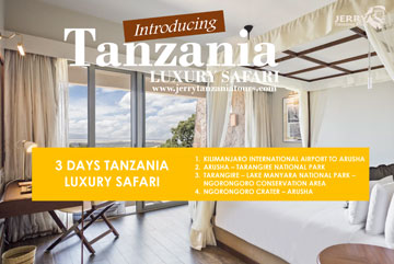 3 Days Tanzania Tanzania Luxury Safari pdf