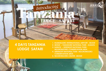 4 Days Tanzania Lodge Safari pdf