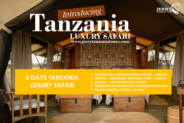 4 Days Tanzania Luxury Safari pdf