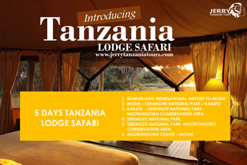 2 Days Tanzania Camping Safari pdf