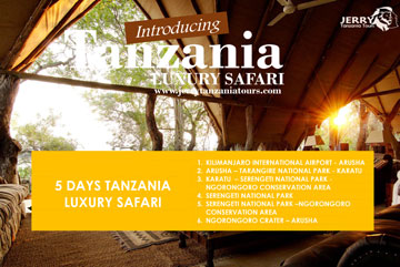5 Days Tanzania Luxury Safari pdf
