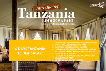 6 Days Tanzania Lodge Safari pdf