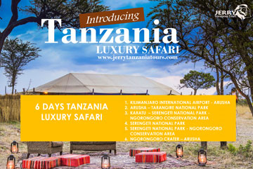 4 Days Tanzania Luxury Safari pdf