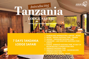 6 Days Tanzania Lodge Safari pdf