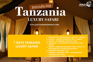 7 Days Tanzania Luxury Safari pdf