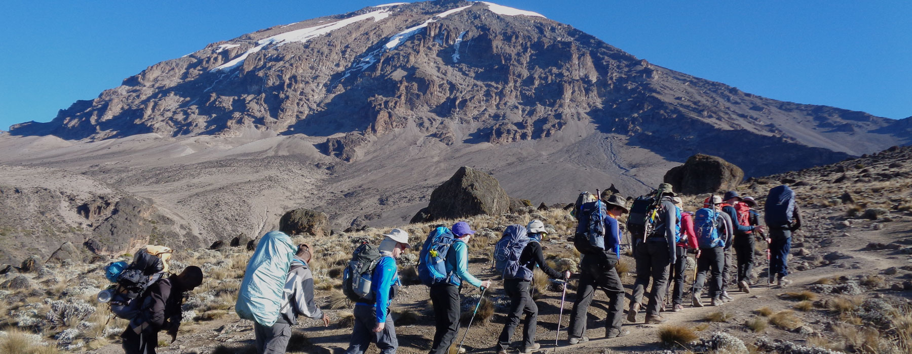 8 Days Lemosho Route Best To Pick Instead Of 7 Days Lemosho Route