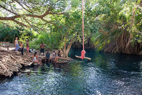 Dive in Kikuletwa Hot Springs
