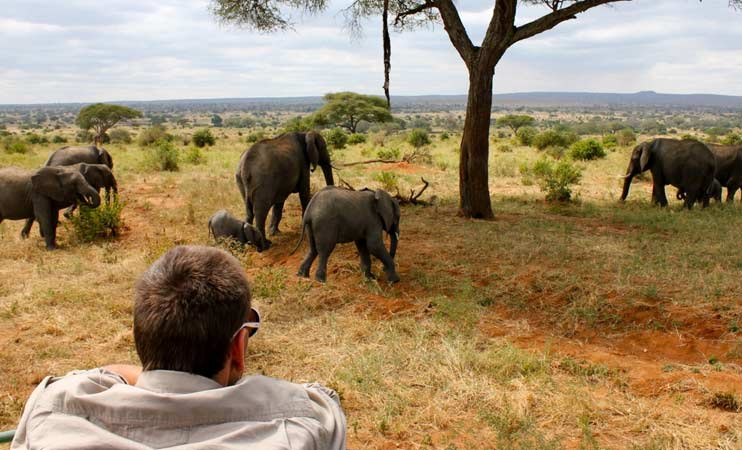 Safety Measures On Tanzania Safari Tours