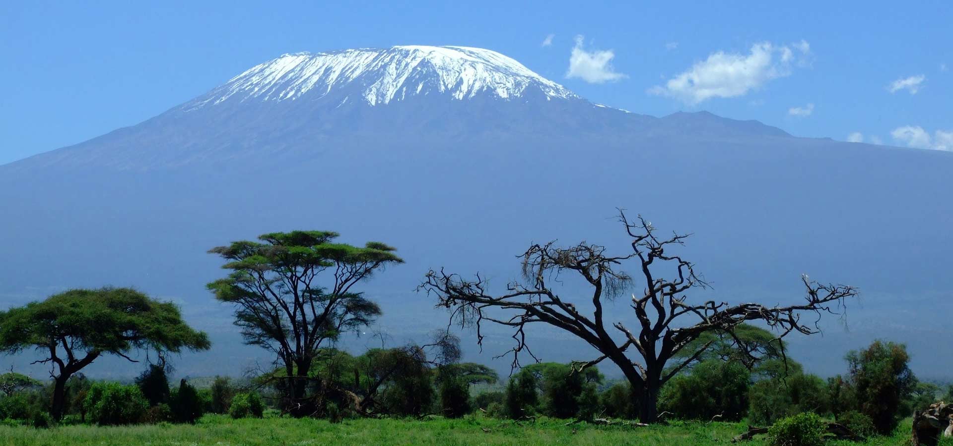 Kilimanjaro On The Mountain