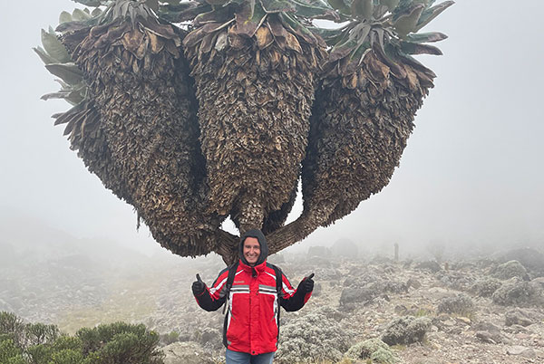 Kilimanjaro Travellers Experience