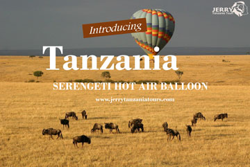 Serengeti Hot Air Balloon Safari pdf