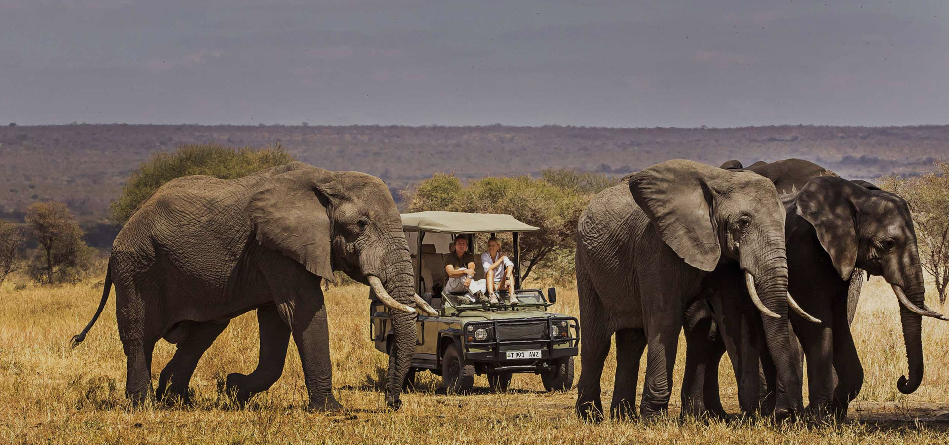 Tanzania Safari Facts