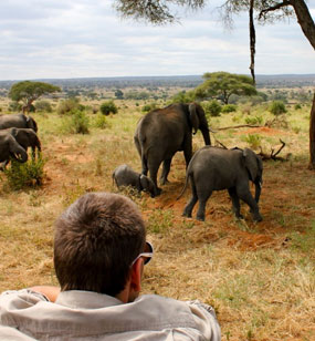 Tanzania Safari Facts