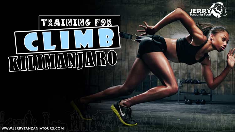 Why the Aerobic Step Belongs in Your Training Program - Kilimanjaro